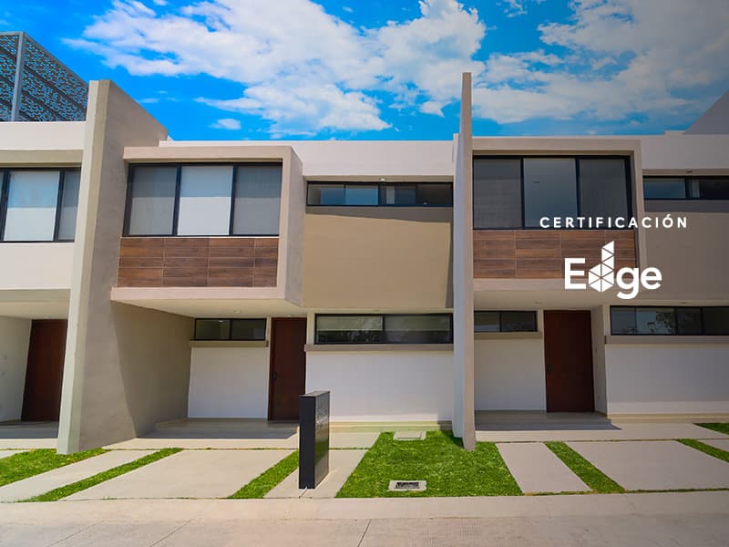 arbore-casas-javer-blanc