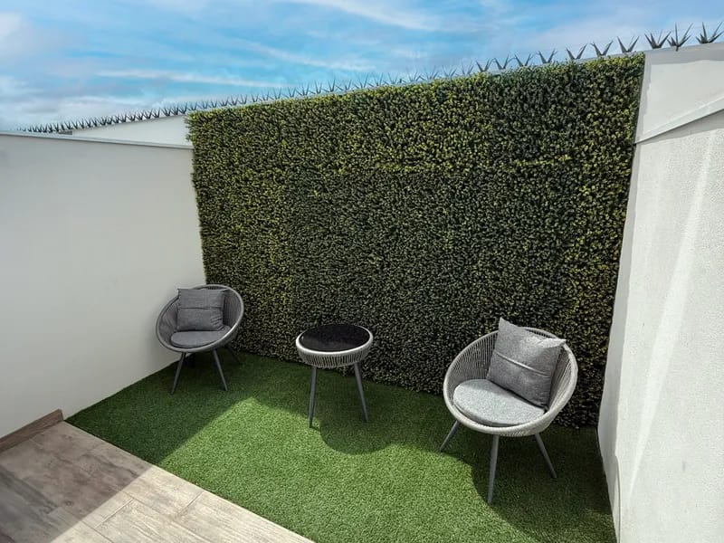 Patio con jardin del modelo Albatros del fraccionamiento El Jaral que pertenece a la inmobiliaria Javer