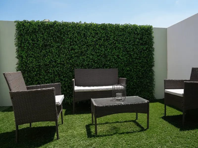 jardín del modelo águila en fraccionamiento paseos del roble en inmobiliaria javer