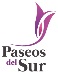 logo-paseos-del-sur-casas-javer